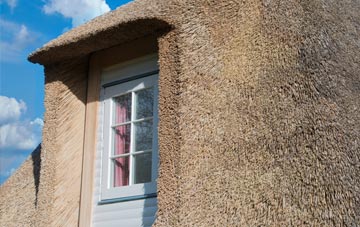 Apeton thatch roof disadvantages
